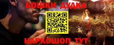 Альфа ПВП Можга