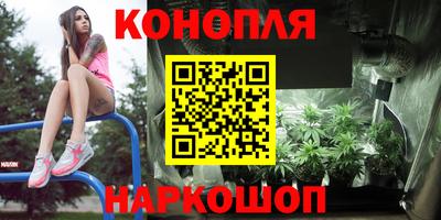 мяу мяу мука Моздок